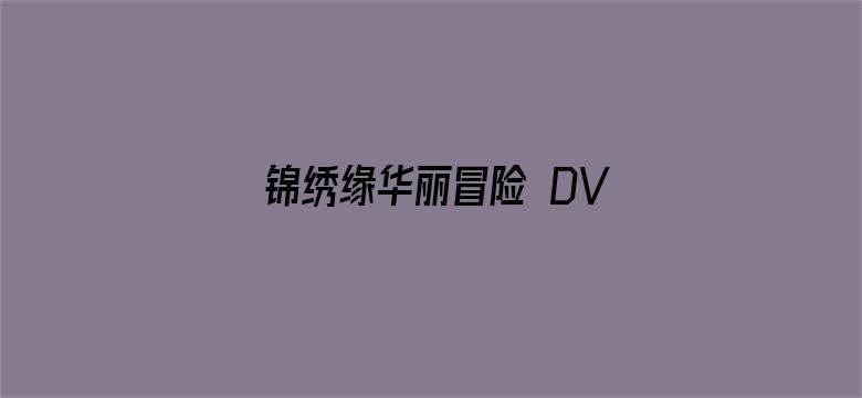 锦绣缘华丽冒险 DVD版